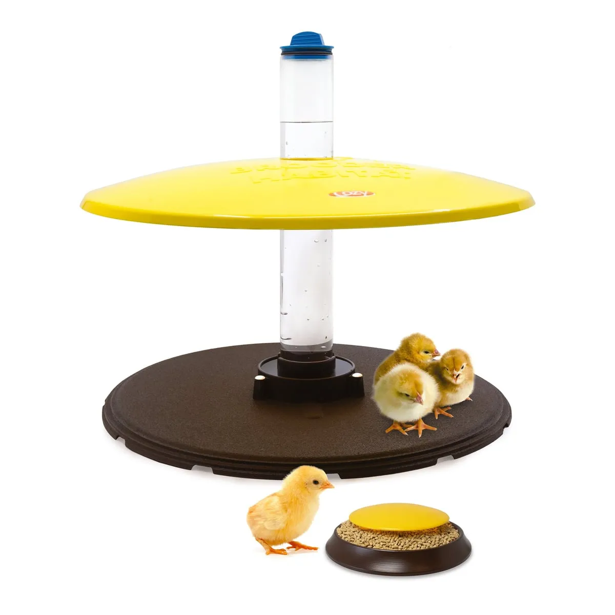 Cozy Products Cozy Chickens Brooder Habitat Plus
