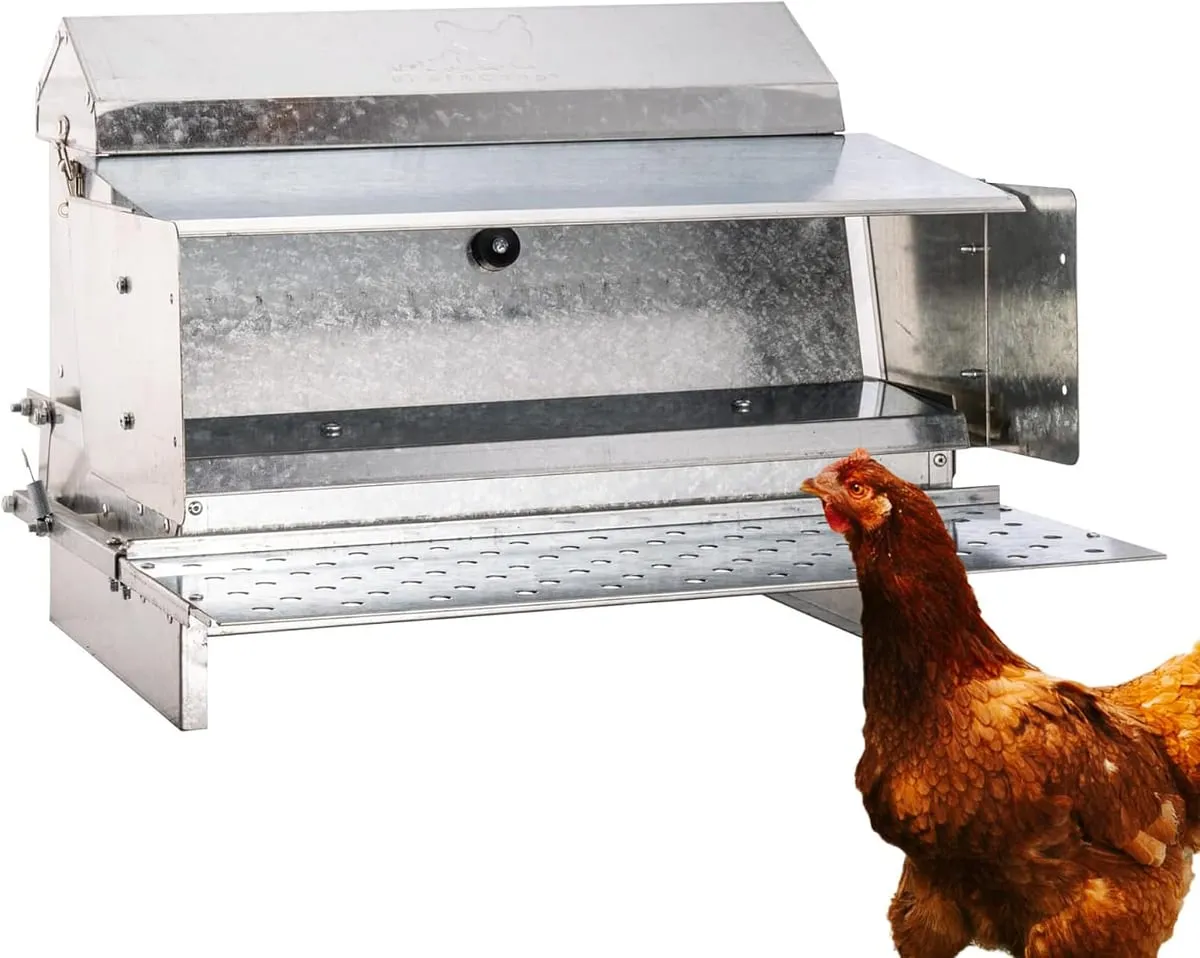 RentACoop 25 lb Automatic Metal Treadle Feeder