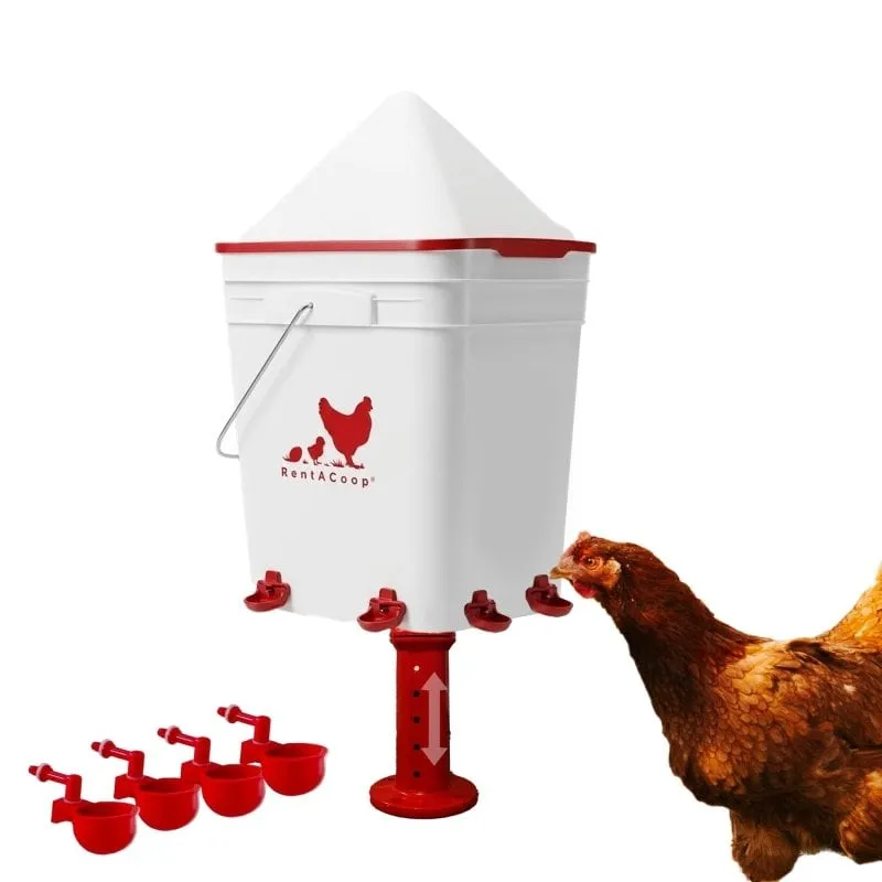 RentACoop 5 Gallon Chicken Waterer (4 Cups, 4 Nipples)