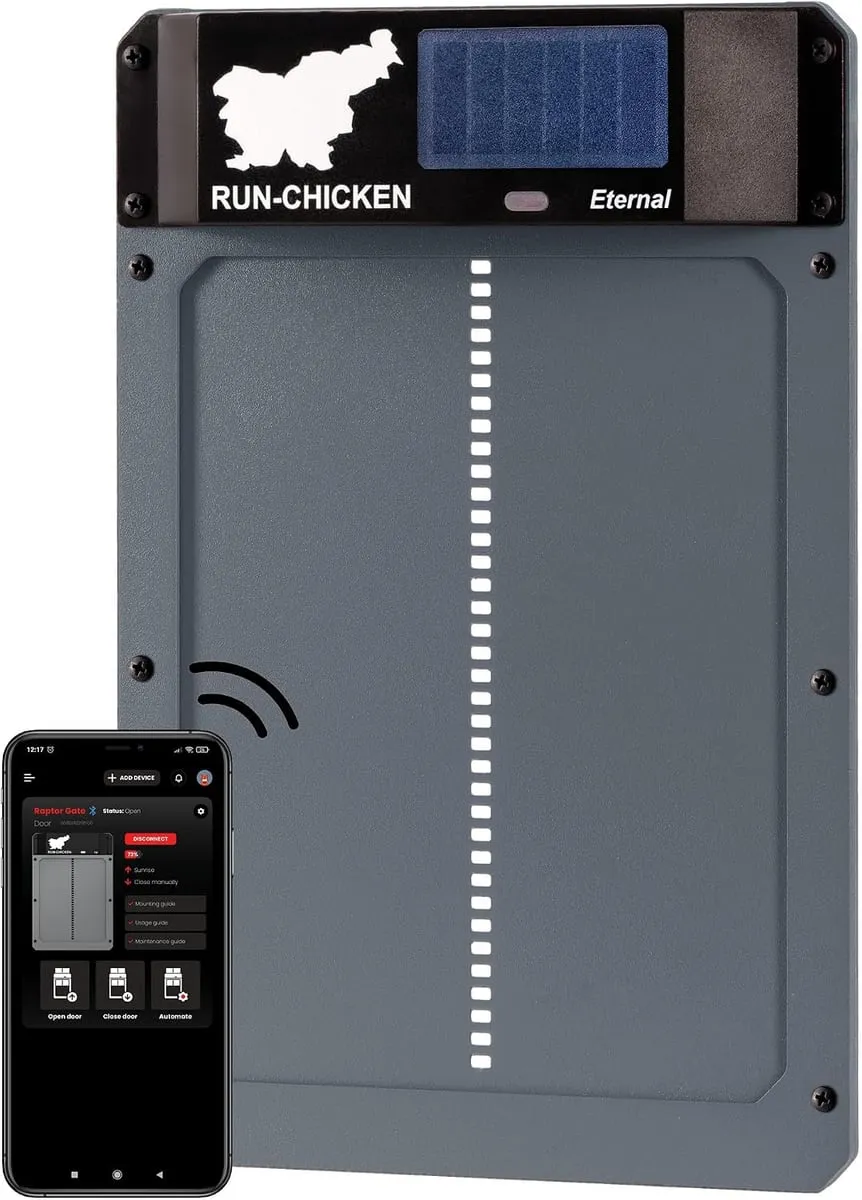 Run-Chicken Eternal